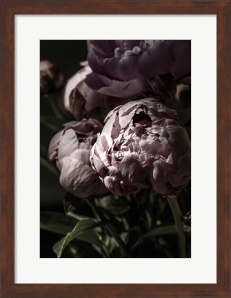 Framed Flower 3 Print