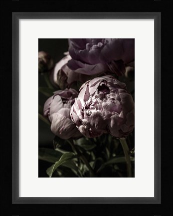 Framed Flower 3 Print
