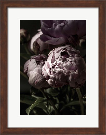 Framed Flower 3 Print