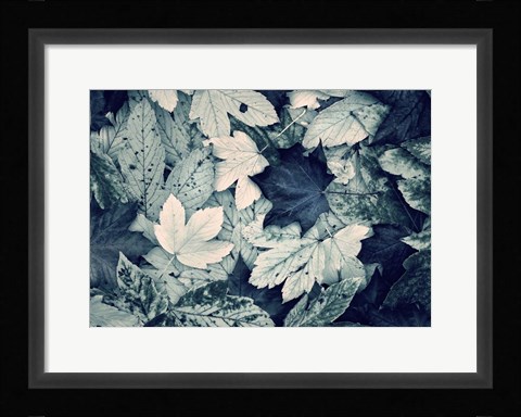 Framed Forest Floor Print