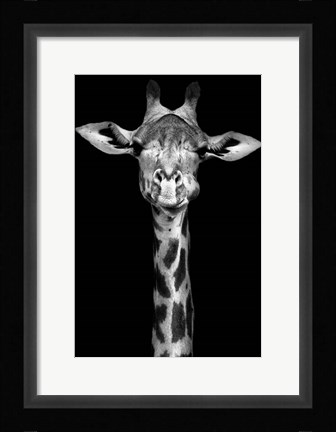 Framed Giraffe Print