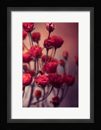 Framed Red Flowers Print