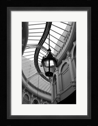 Framed Rotunda Print