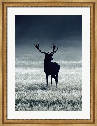 Framed Silhouette Deer Print
