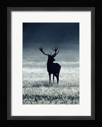 Framed Silhouette Deer Print