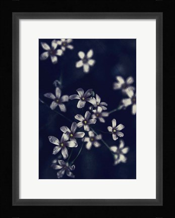 Framed Small Flowers Print