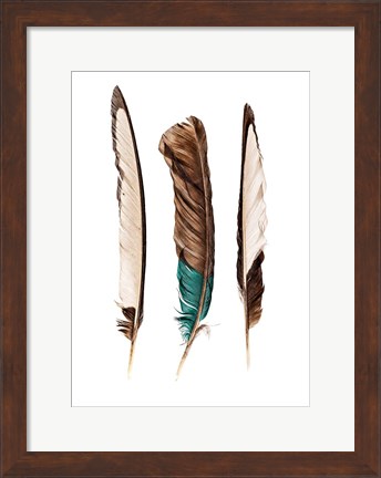 Framed Three Feathers Print