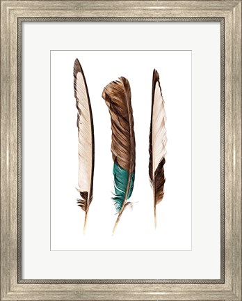 Framed Three Feathers Print