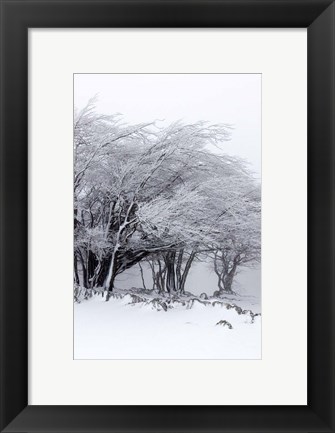 Framed Winter Storm Print