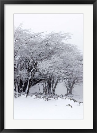 Framed Winter Storm Print