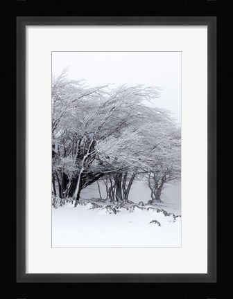 Framed Winter Storm Print