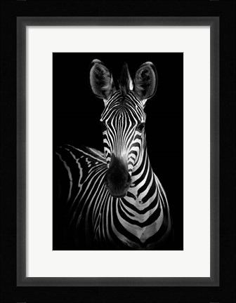 Framed Zebra Print