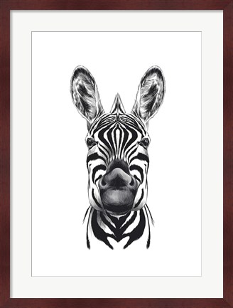 Framed Zebra Illustration Print