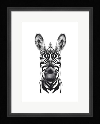Framed Zebra Illustration Print