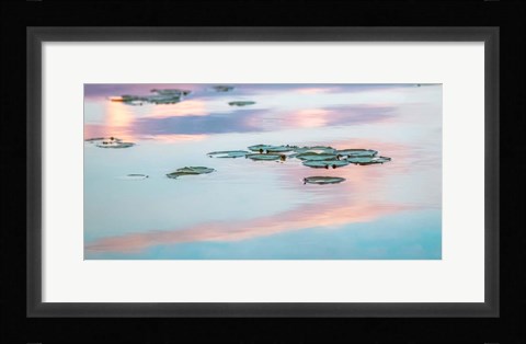 Framed Cloud Reflections Print