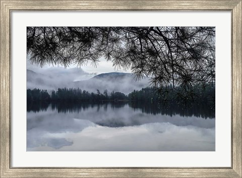 Framed Rainy Day Cooper Lake Print