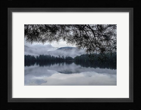 Framed Rainy Day Cooper Lake Print