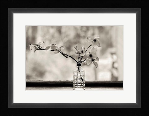 Framed Wild Dogwood Print