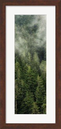 Framed Smoky Forest Panel II Print