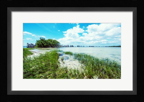 Framed Tropical Coastline Print