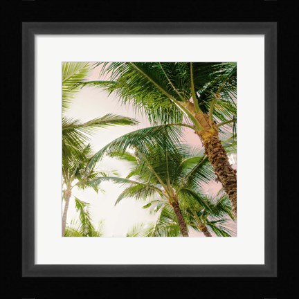 Framed Bright Oahu Palms I Print