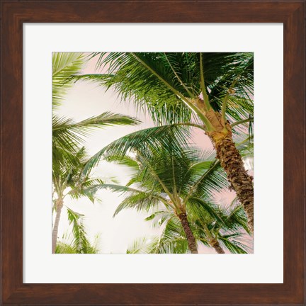 Framed Bright Oahu Palms I Print