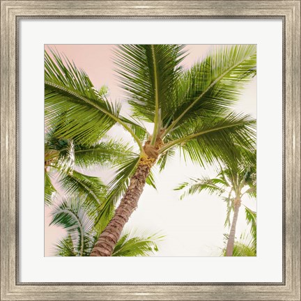 Framed Bright Oahu Palms II Print