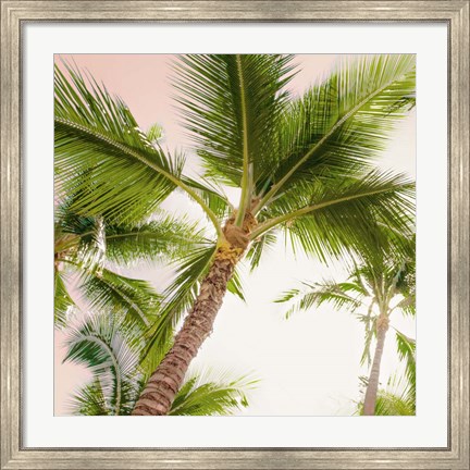 Framed Bright Oahu Palms II Print