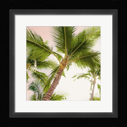 Framed Bright Oahu Palms II Print