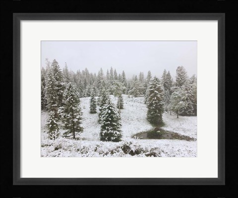Framed Dusting of Snow Print