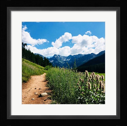 Framed Lovely Path Print