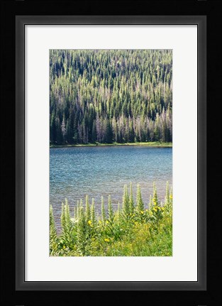 Framed Hidden Lake Print