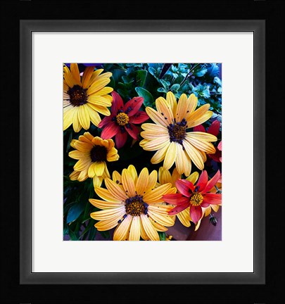 Framed Colorful Bunch Print