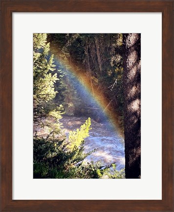 Framed Stream and Rainbow Collide Print