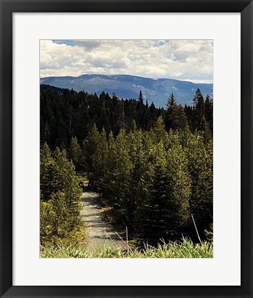 Framed Mountain Stream Print