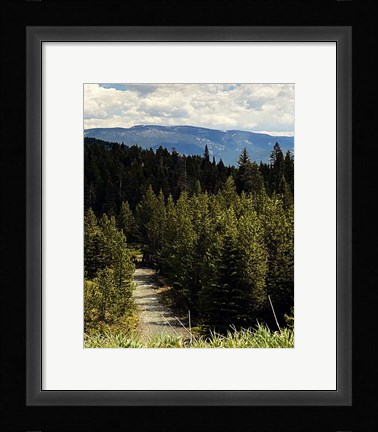 Framed Mountain Stream Print