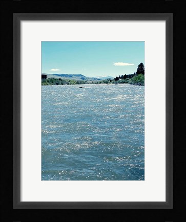 Framed Natures Beauty Print