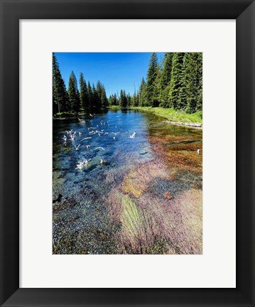 Framed Peaceful Stream Print