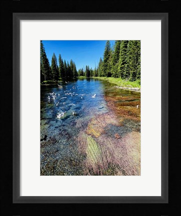 Framed Peaceful Stream Print