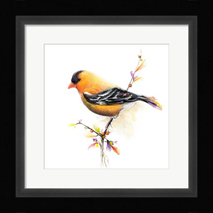 Framed Watercolor Chickadee III Print