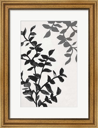 Framed Botanical In Noir II Print