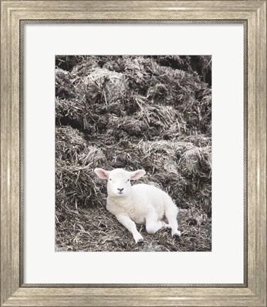 Framed Sheep Vibes Print