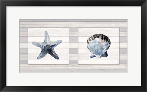 Framed Starfish &amp; Shell Duo Print