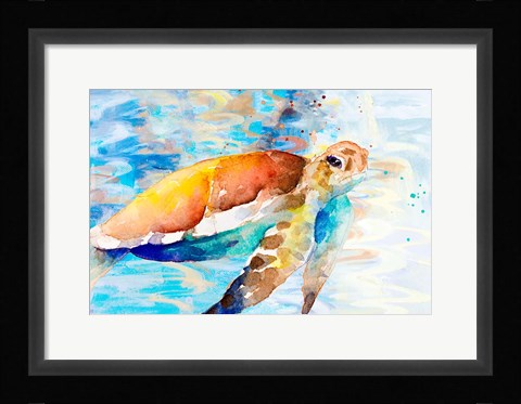 Framed Turtle Passing Through I Print