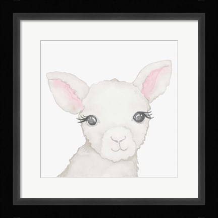 Framed Baby Lamb Print