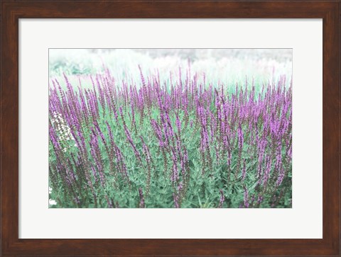 Framed Lavender Garden Print