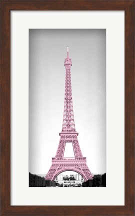 Framed Pretty Paris Blush Print