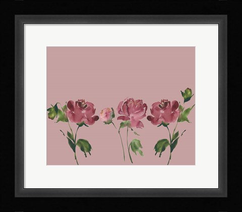 Framed Trio Of Peonies Print