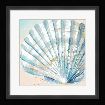 Framed Awashed Shell Square Print
