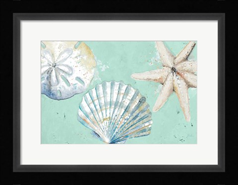 Framed Beach Shells on Turquoise Rectangle Print